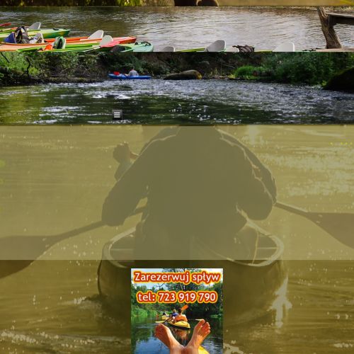 Spływ kajakowy po Wieprzu