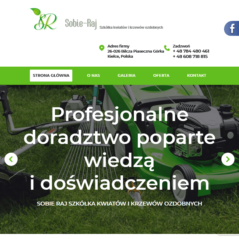 Ozdobne drzewka liściaste